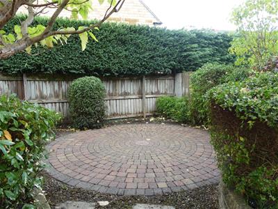 Picture 19